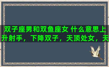 双子座男和双鱼座女 什么意思上升射手，下降双子，天顶处女，天底双鱼